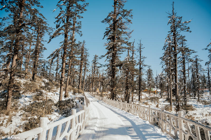 成都周边游 | 川西的雪国秘境，我与瓦屋山的纯白约定