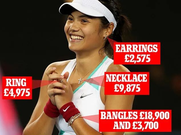 沈阳网球价格(赞助商豪拉杜卡努，她是女子网坛的一株牡丹，还是一现的昙花？)