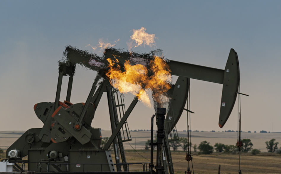 ǿ߼CNNģйˣͻ͸ƶͼ