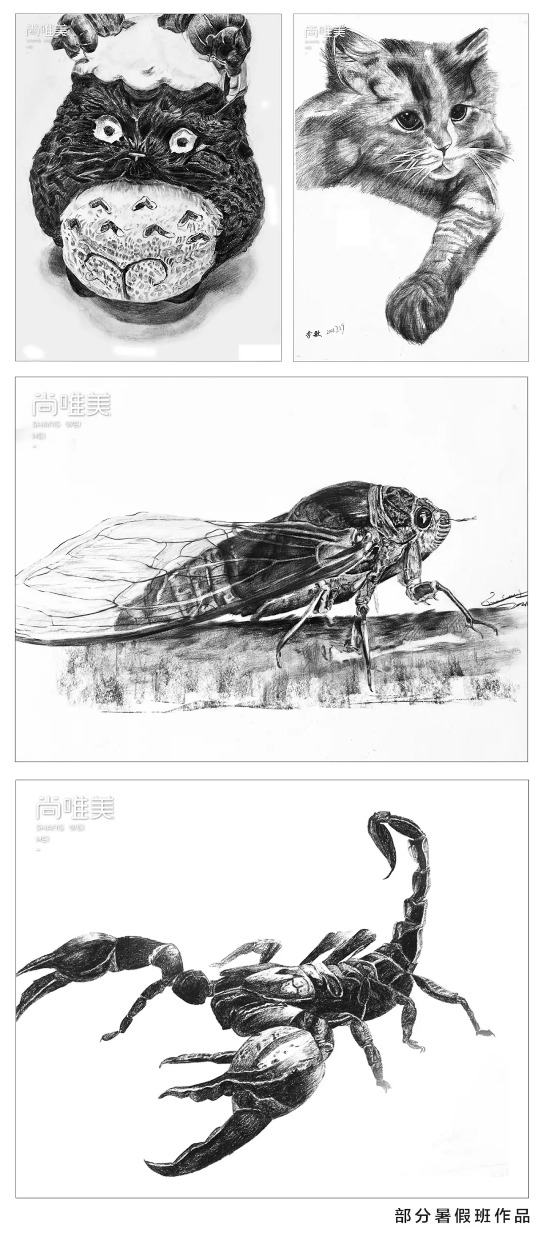 为梦想领跑|2022年兰州尚唯美艺术学校寒假班招生简章