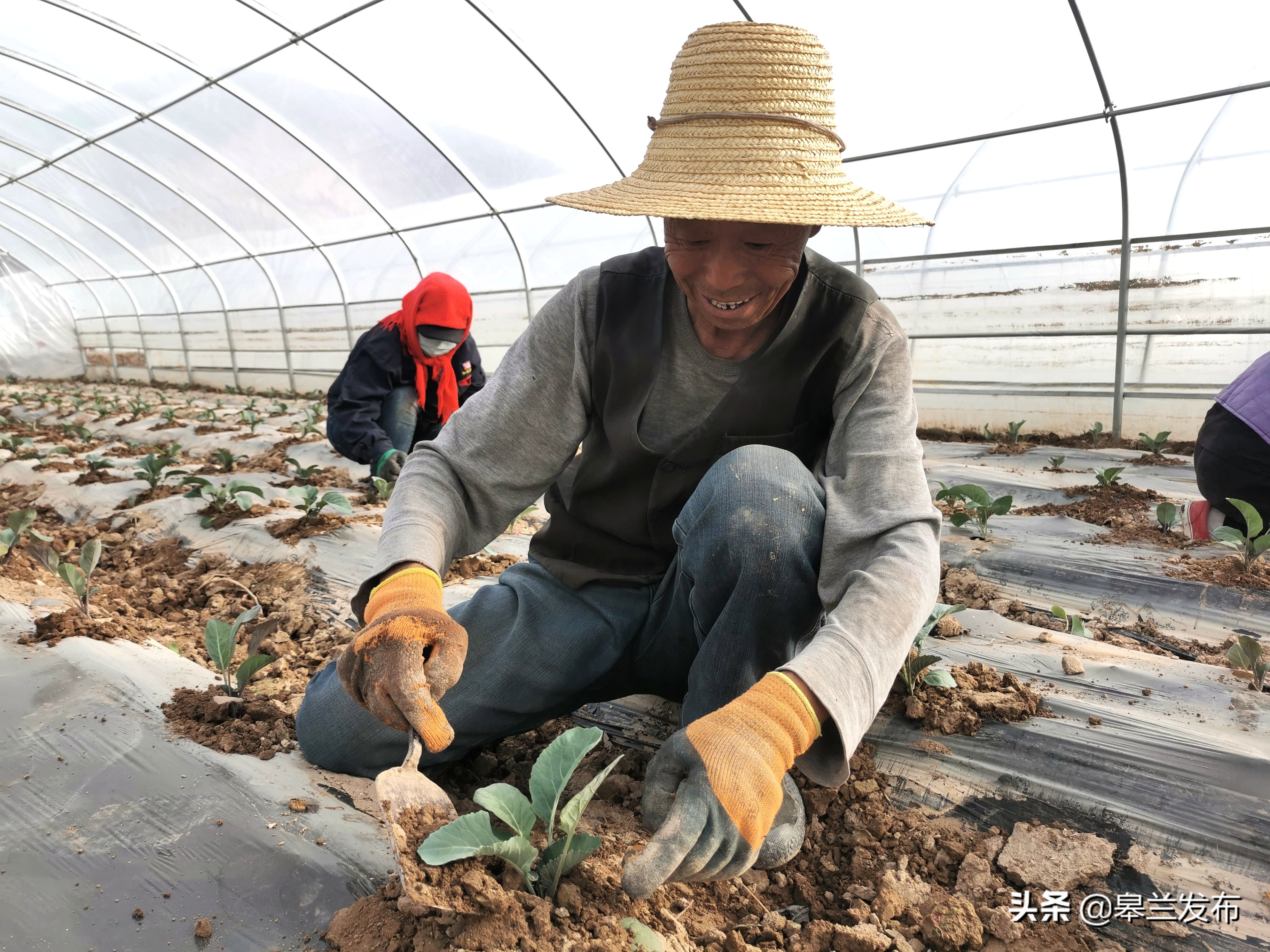 �������ⲻ��ũ�� �������ﴺ��æ