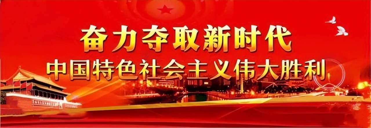 智言智语：5G发展、数字化经济、零碳工厂……听听他们怎么说