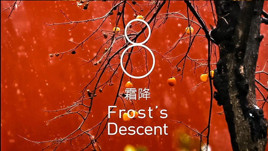 奧運會的開始時間（2月4日，第24屆冬奧會，24節氣刷屏了）