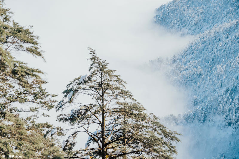 成都周边游 | 川西的雪国秘境，我与瓦屋山的纯白约定