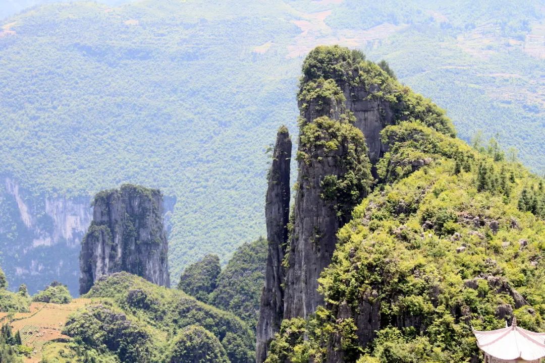 中国哪个沙漠好玩(国内10个必去的清凉秘境，堪称天然“空调城”，你去过哪几个呢？)