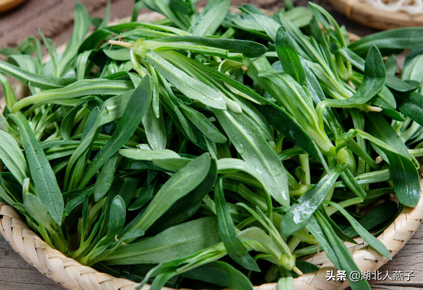 野菜的种类和图片大全 十大抗癌野菜图片-丹霞百科