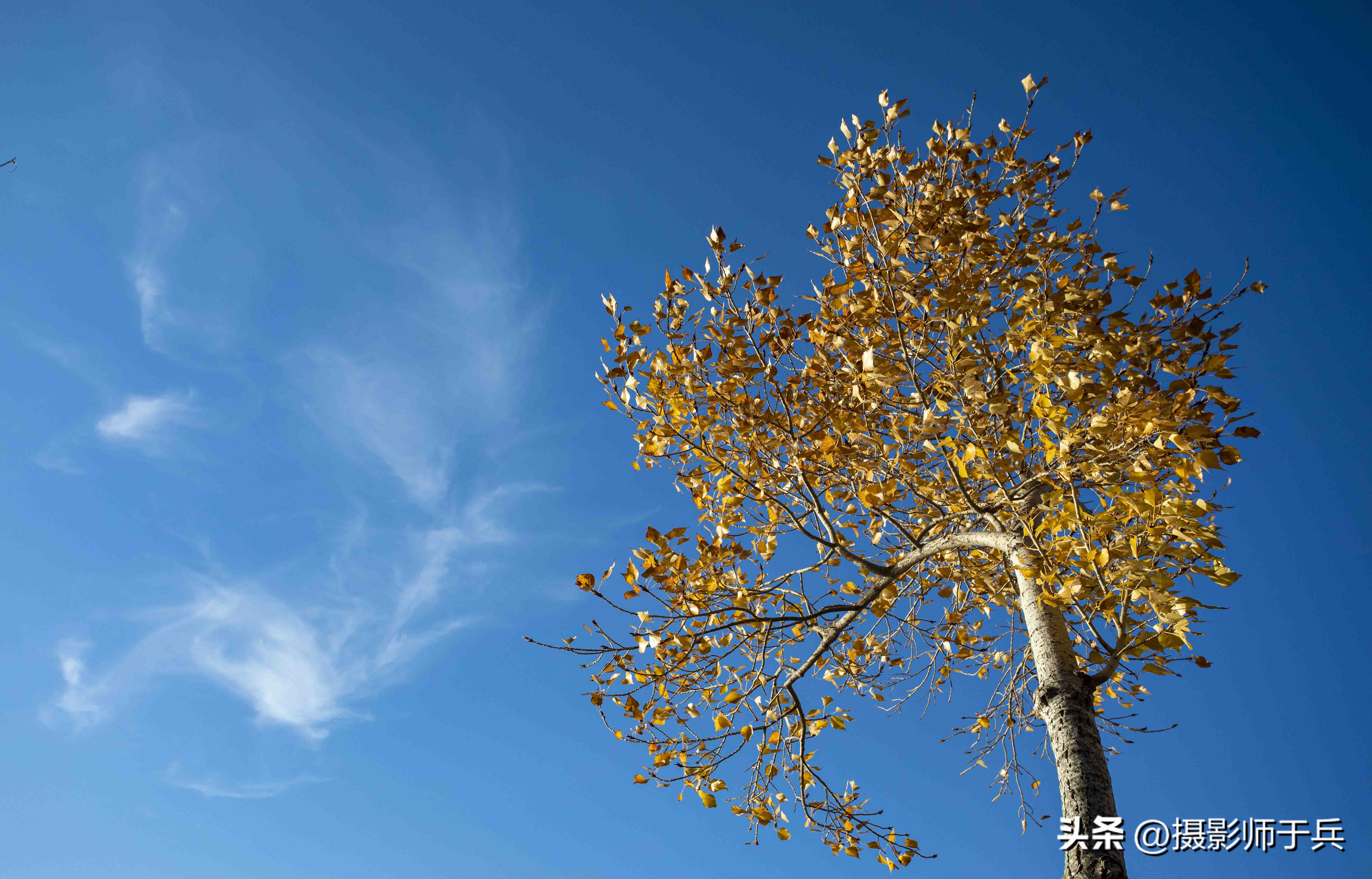 秋天唯美短句,最适合发朋友圈