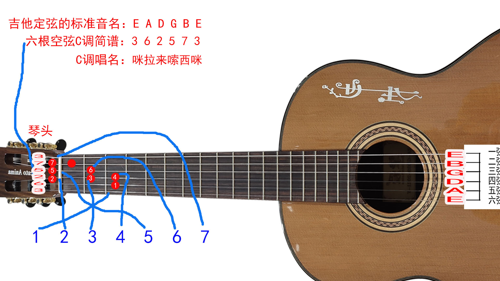 吉他基础知识_吉他各调音阶及常用和弦图-吉他入门 - 乐器学习网