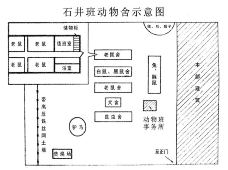 细菌的人工培养实验报告（细菌的人工培养法实验报告）-第28张图片-科灵网