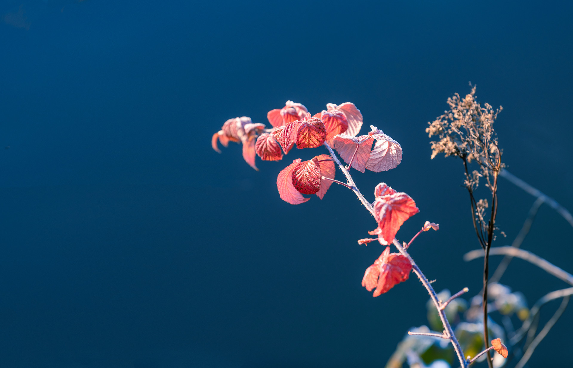 放不下婚外的情人，想想这三个问题，就能找到出路