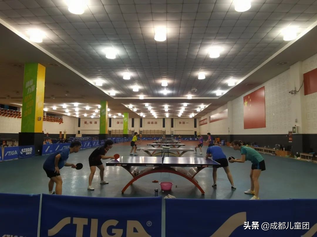 小學(xué)生乒乓球多久能學(xué)會(huì)（學(xué)習(xí)門檻極低的國(guó)民運(yùn)動(dòng)！建議孩子都能學(xué)幾年）