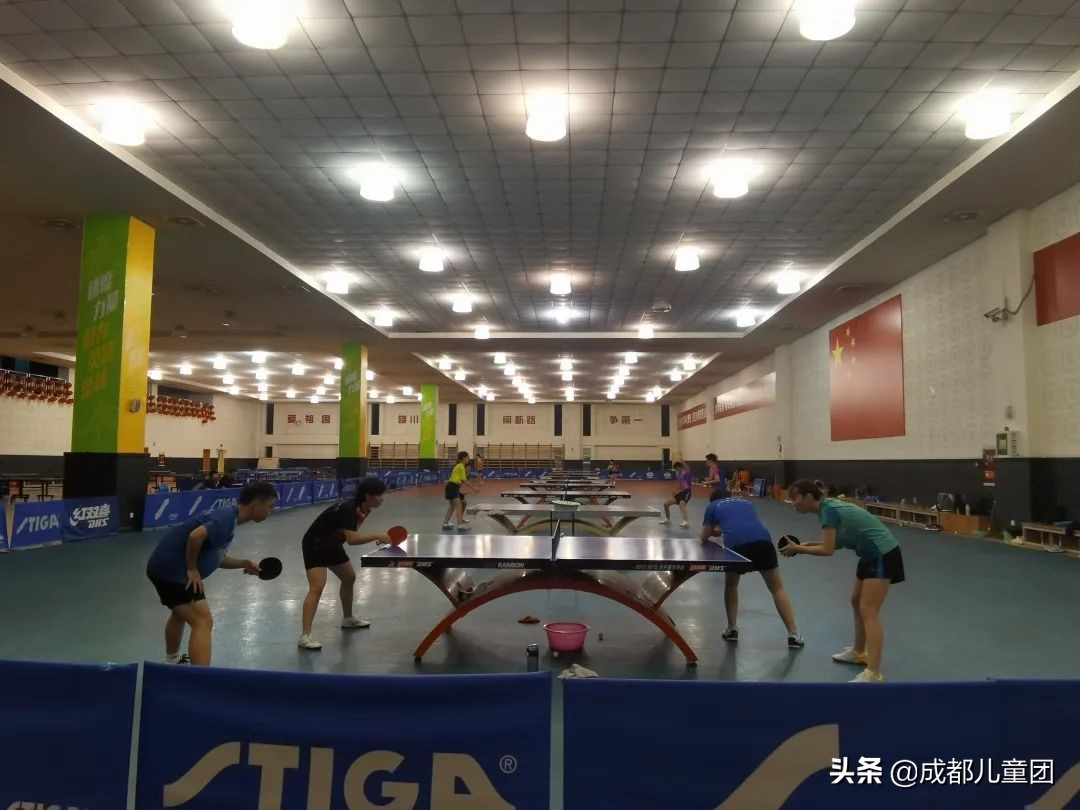 小学生乒乓球多久能学会（学习门槛极低的国民运动！建议孩子都能学几年）