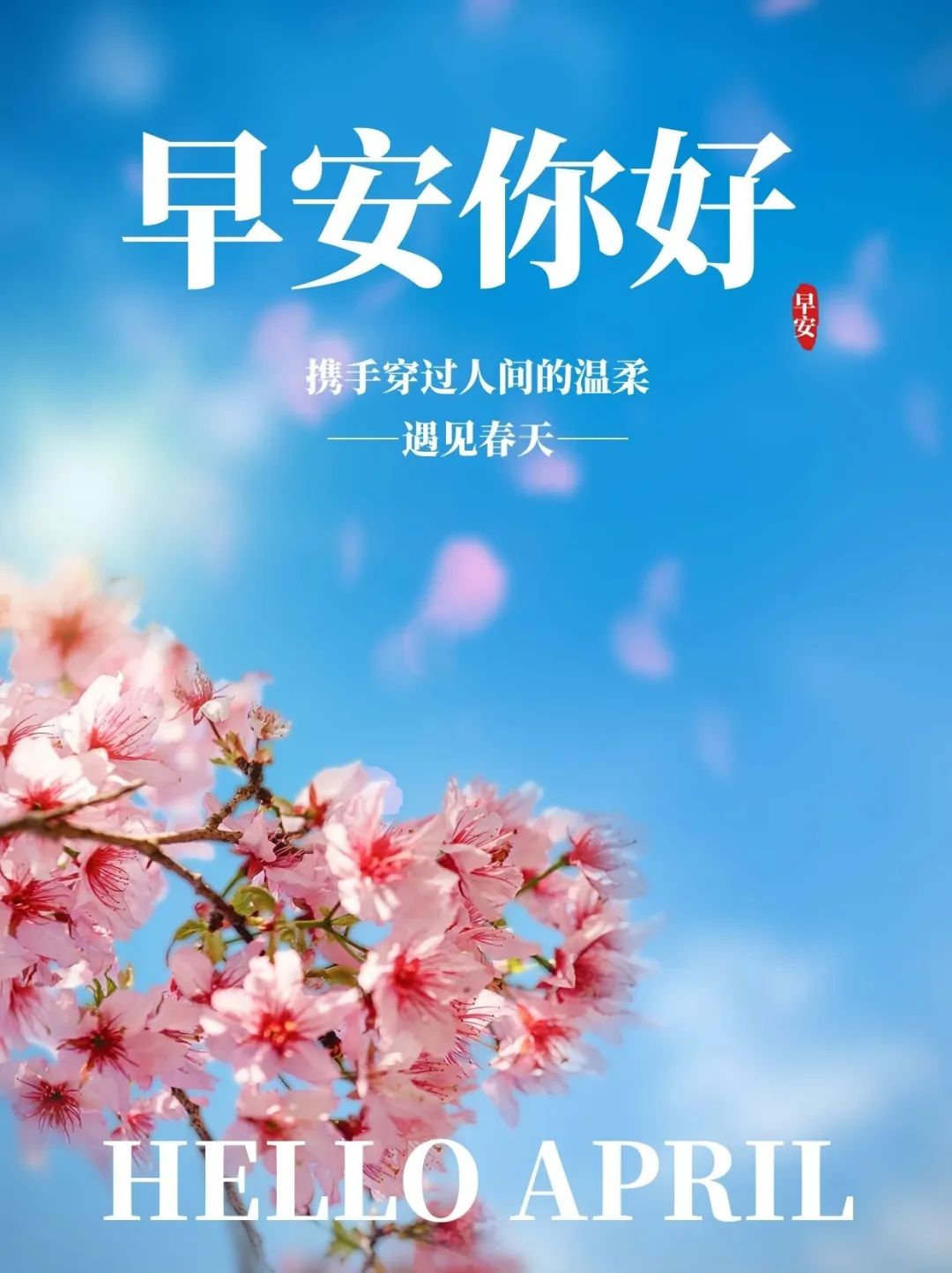 2022早安最火图片 自然风景早上好图片带字图片