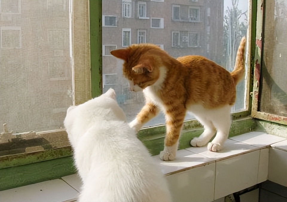 悠闲惬意什么意思 悠闲惬意的含义 - 风集网