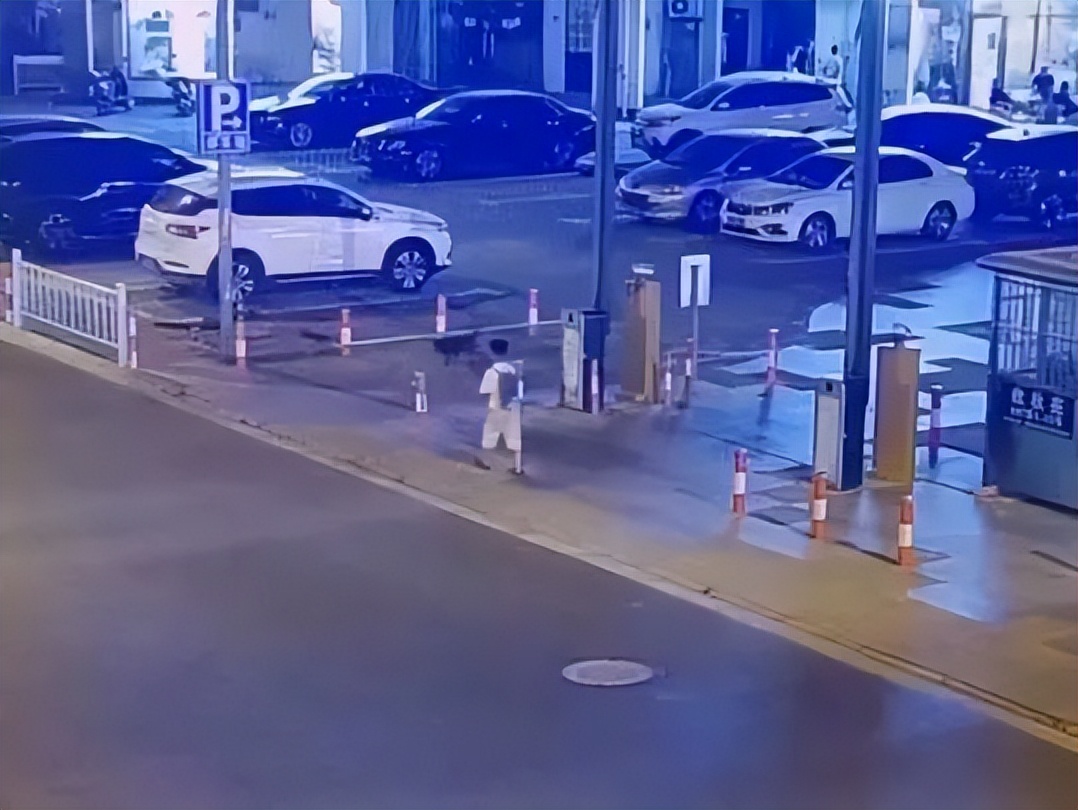 “小书包”深夜独自游荡街头 “凶蜀黍”严肃教育助其回家