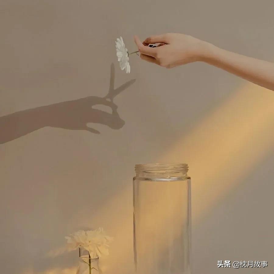 句子库‖星河滚烫，你是人间理想。皓月当空，你是人间曙光