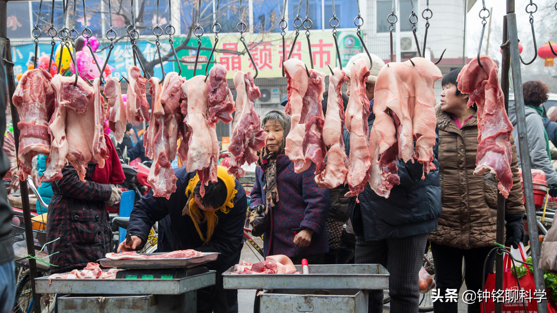 年猪不能随便杀！为啥有人杀猪卖肉被罚10万，有人杀年猪却没事？