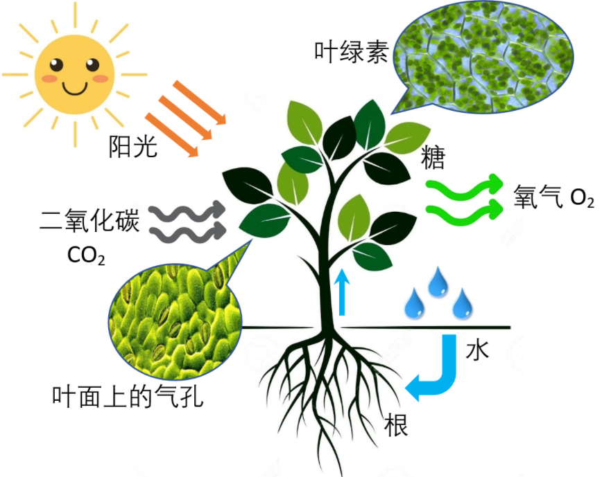 违背生命规律的生物有哪些(违背自然规律的生物) - 安士宝财经