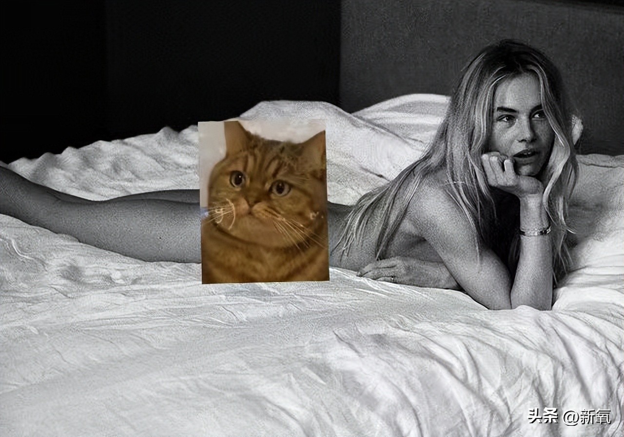 盘点世界杯美女（盘点世界杯球星太太团，有太多辣妹值得挖掘）