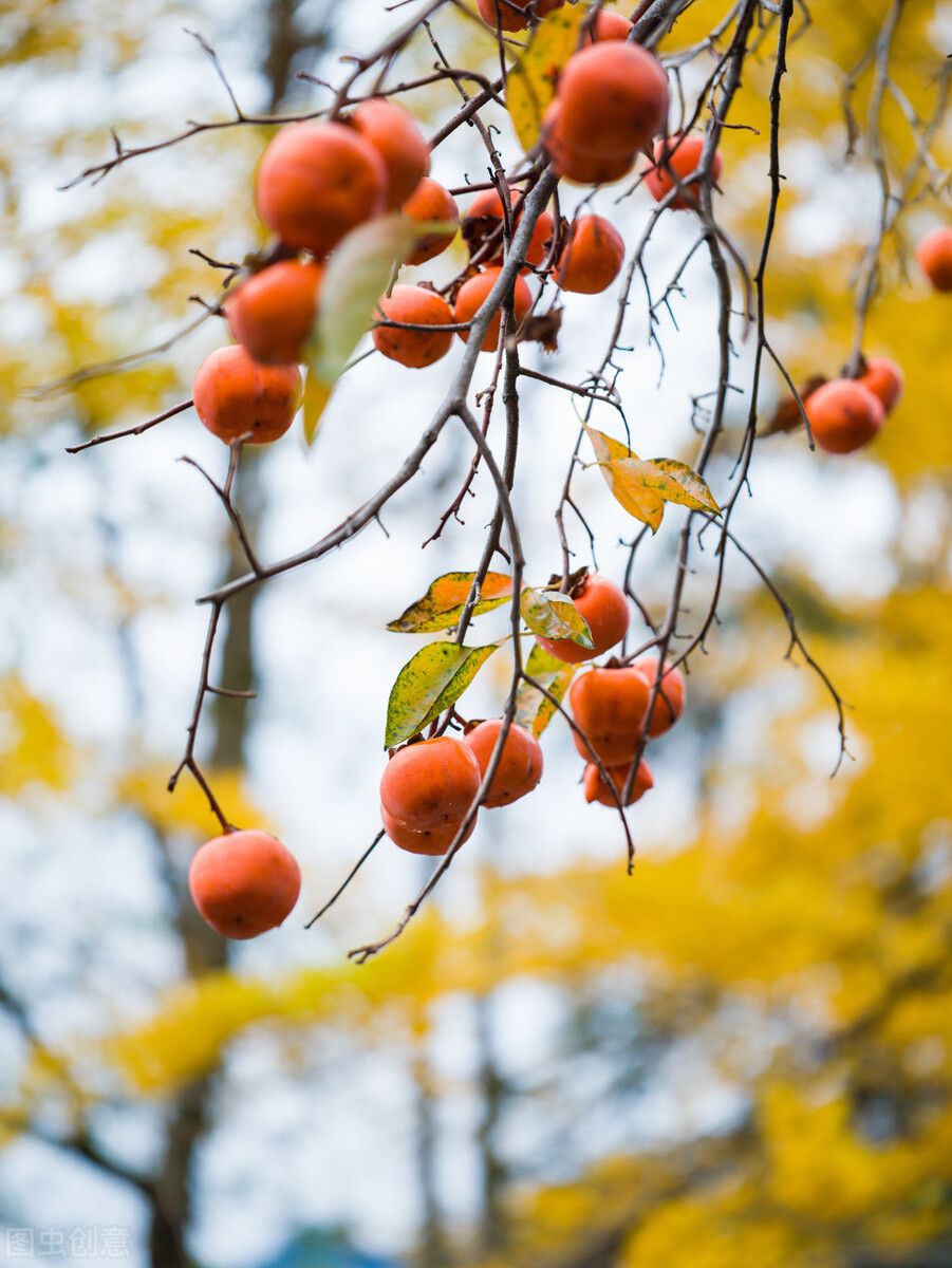 50张唯美禅意风景图片.高清淡雅意境壁纸,让人心静的自然美图