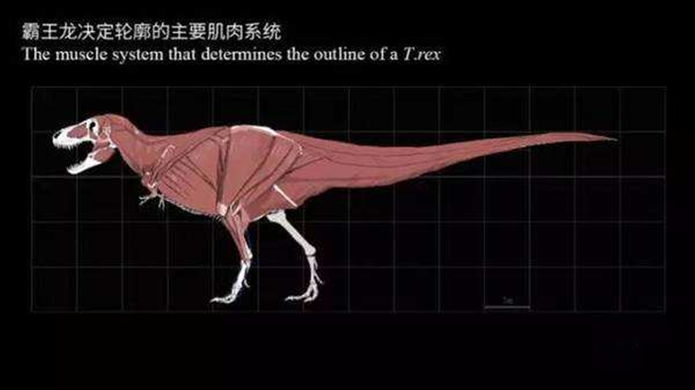 恐怖霸王龙(科学家通过研究认为，霸王龙很可能跑不过人类？我们高估它了吗？)