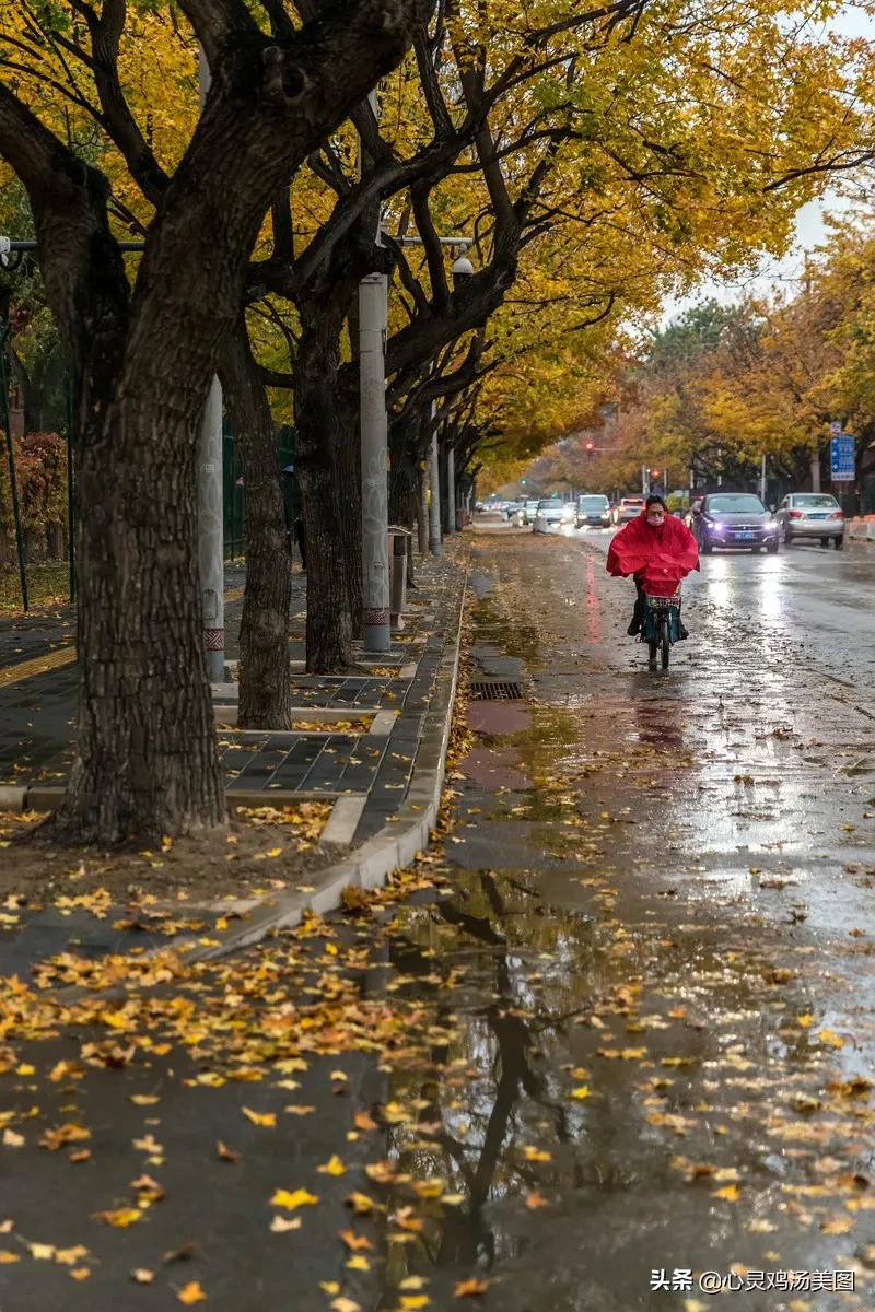 下雨的唯美图片