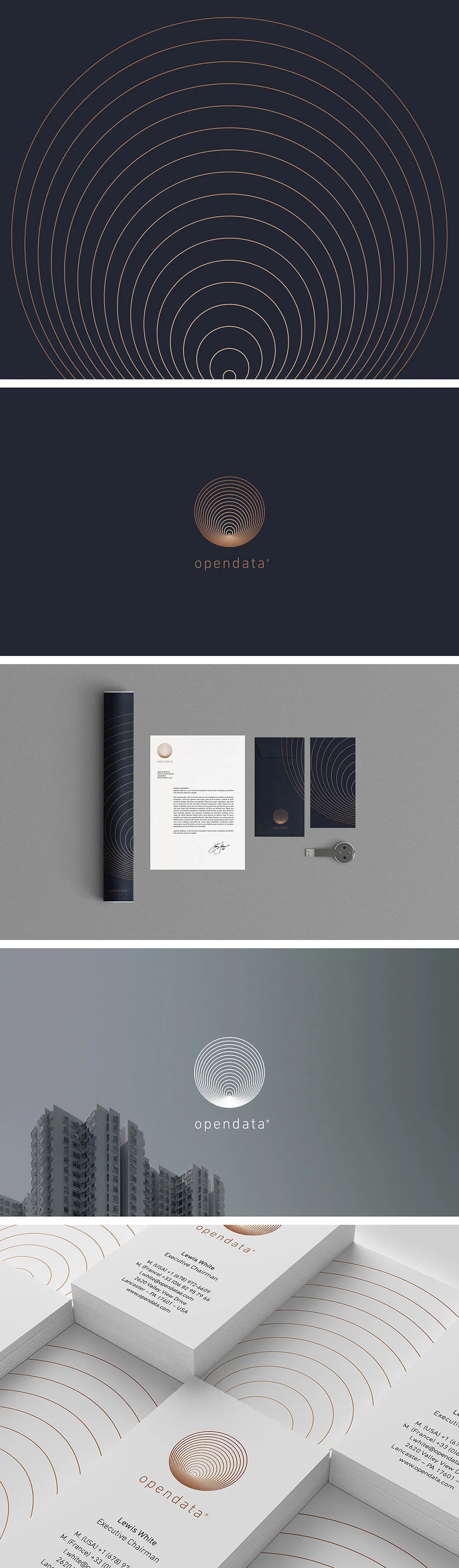 优秀品牌vi设计!单特孑立