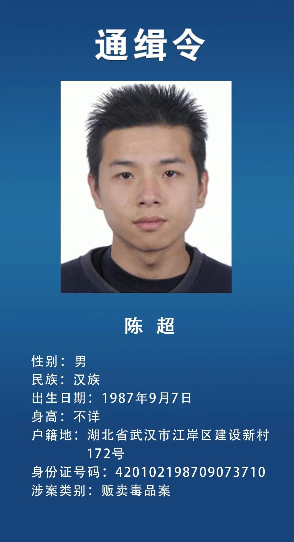 网上通缉犯,网上通缉犯怎么查