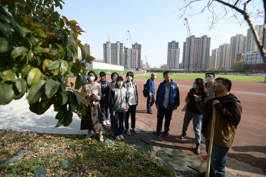 武汉市实验学校“护树节”为绿保驾护航(图2)