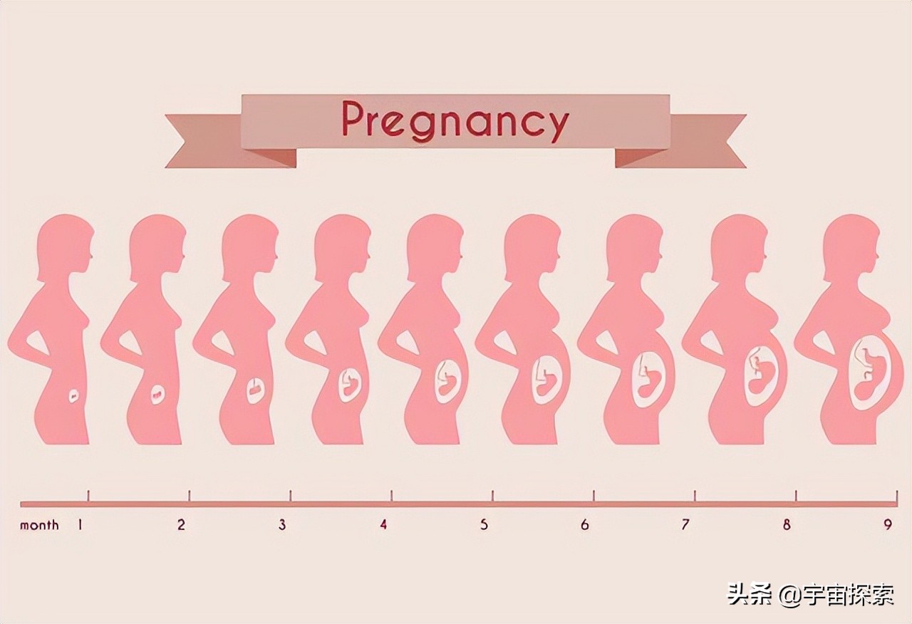 地球上本来没有人，那第一个男人和女人是怎么诞生的？