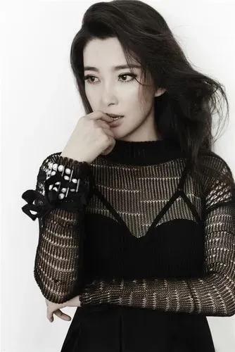 李冰冰，20张精美的照片