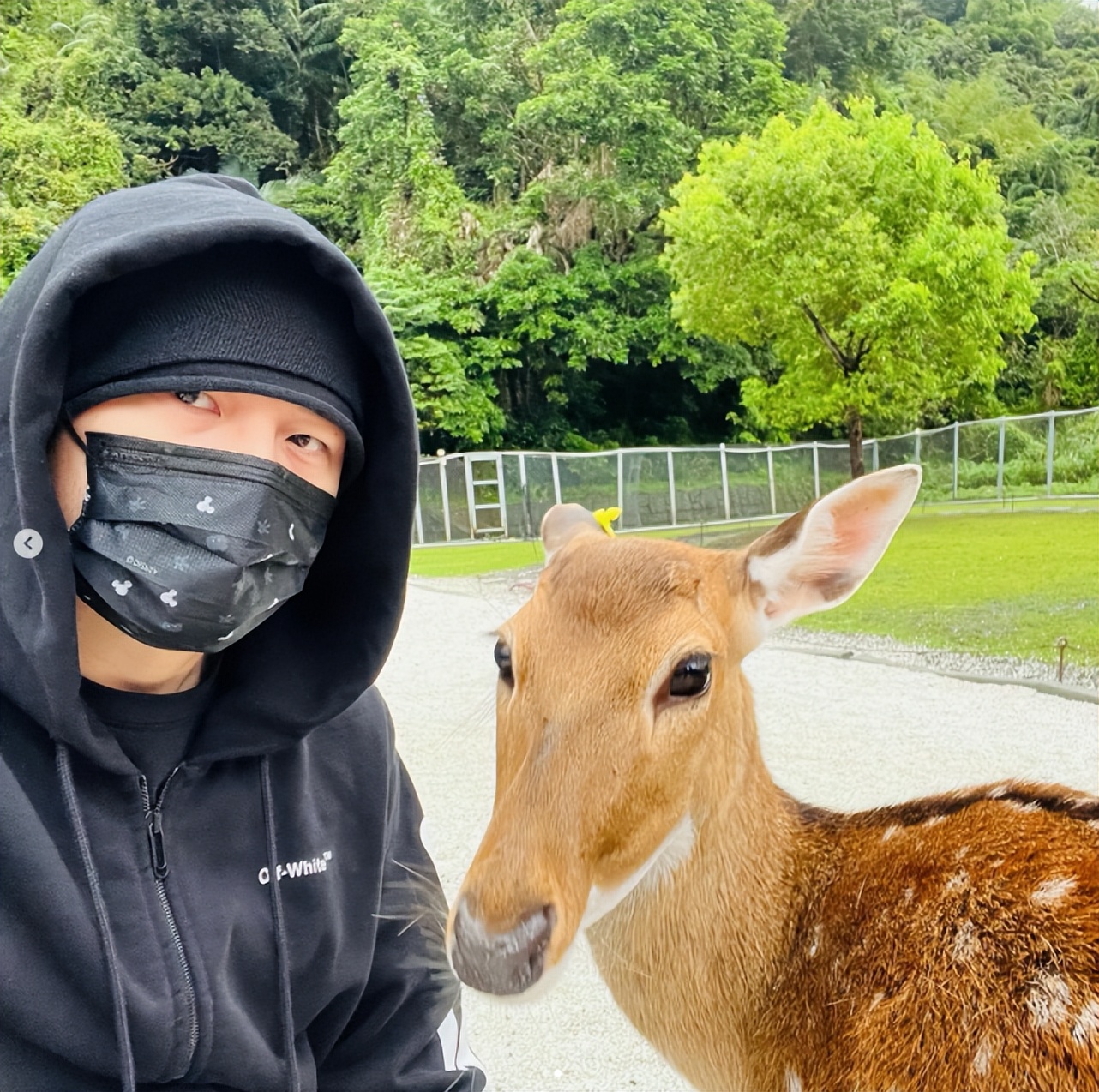 周杰伦突晒输液照，自疑心脏出问题在线求助，昆凌发文报平安