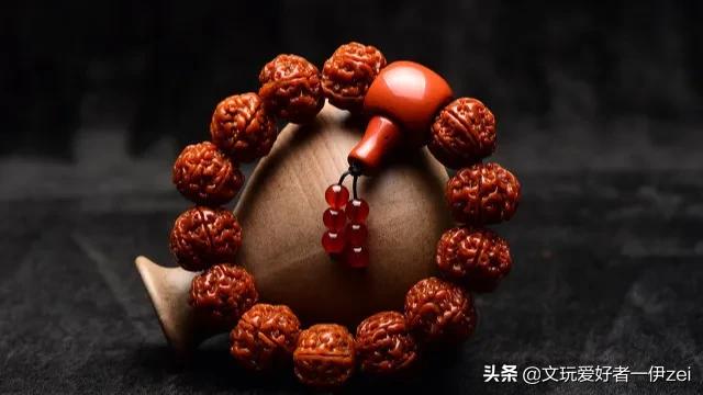 跟随伊zei，带你认识金刚菩提