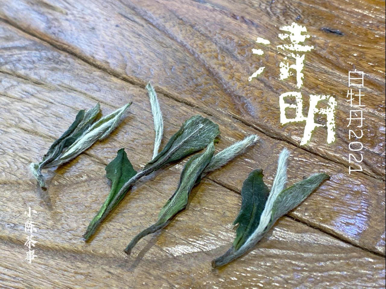 明前茶和明后茶有什么区别（6点实用的白茶冷知识）