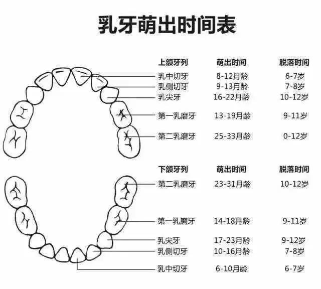 新手爸妈含泪总结宝宝护牙经验！出牙时间，顺序和表现有哪些