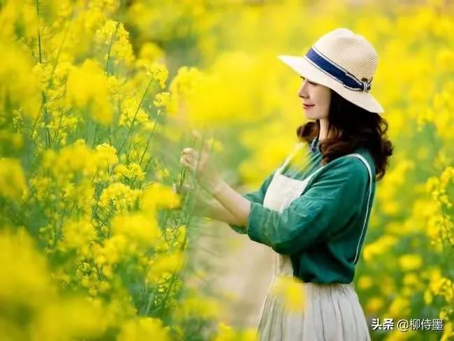 诗词赏读丨咏油菜花诗词12首