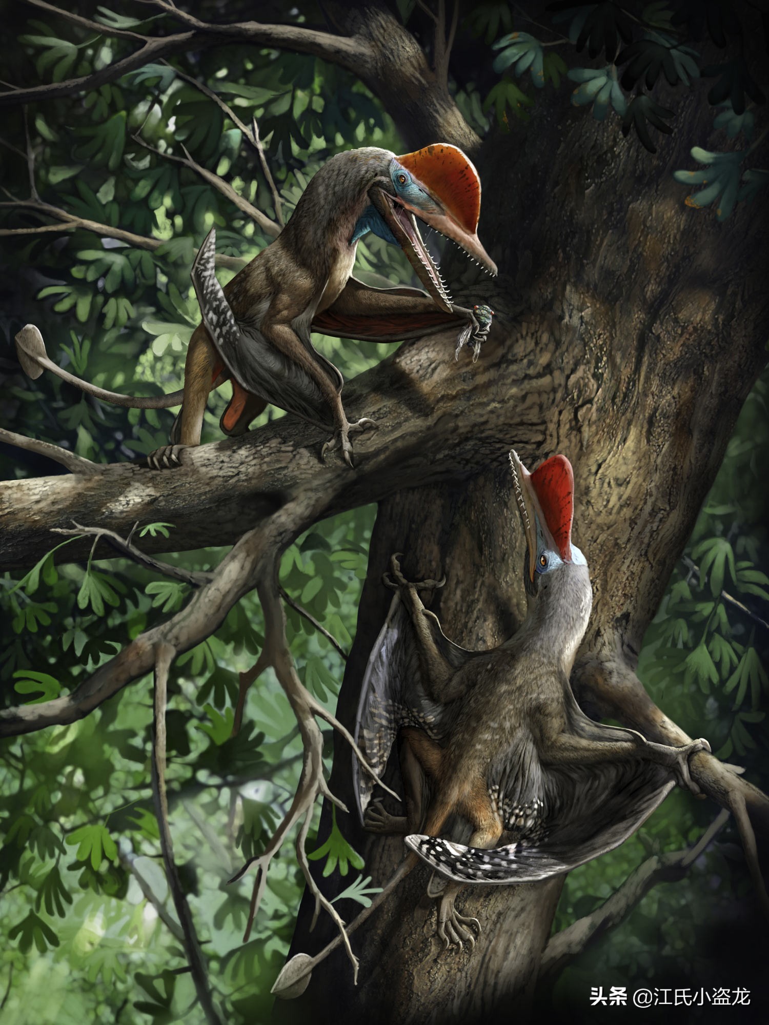 2021古生物学家到底命名了多少种翼龙?