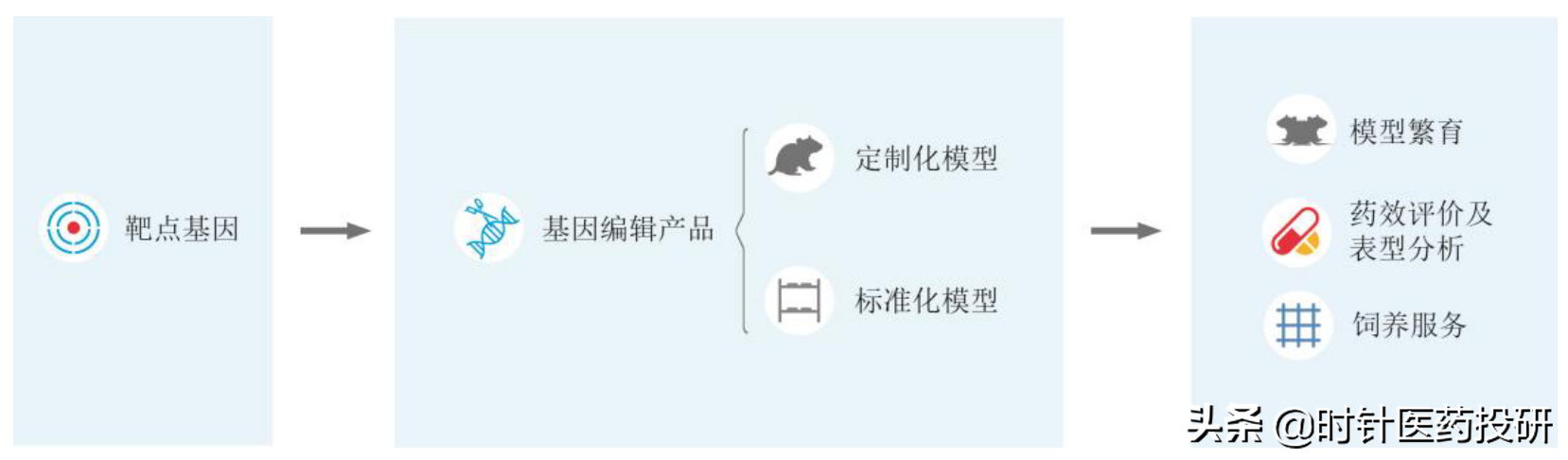 医药新股南模生物价值如何？深度价值分析，值得收藏