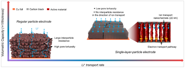 华中科大：单层大尺度颗粒电极助力实现快充锂离子电池