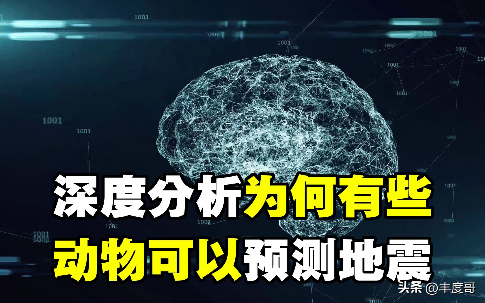 动物预测世界杯比分(深度分析！为什么有些动物可以预测地震？理性将会把人类带向何方)