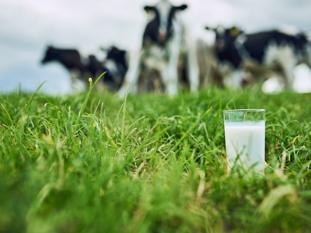 关于牛奶的检测项目及检测标准，你知道多少？