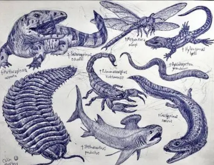 3����ǰ��һ�š���˿������Ƕ��ʯ���У��ҿ�һ��ʷǰ���۷�ʱ��