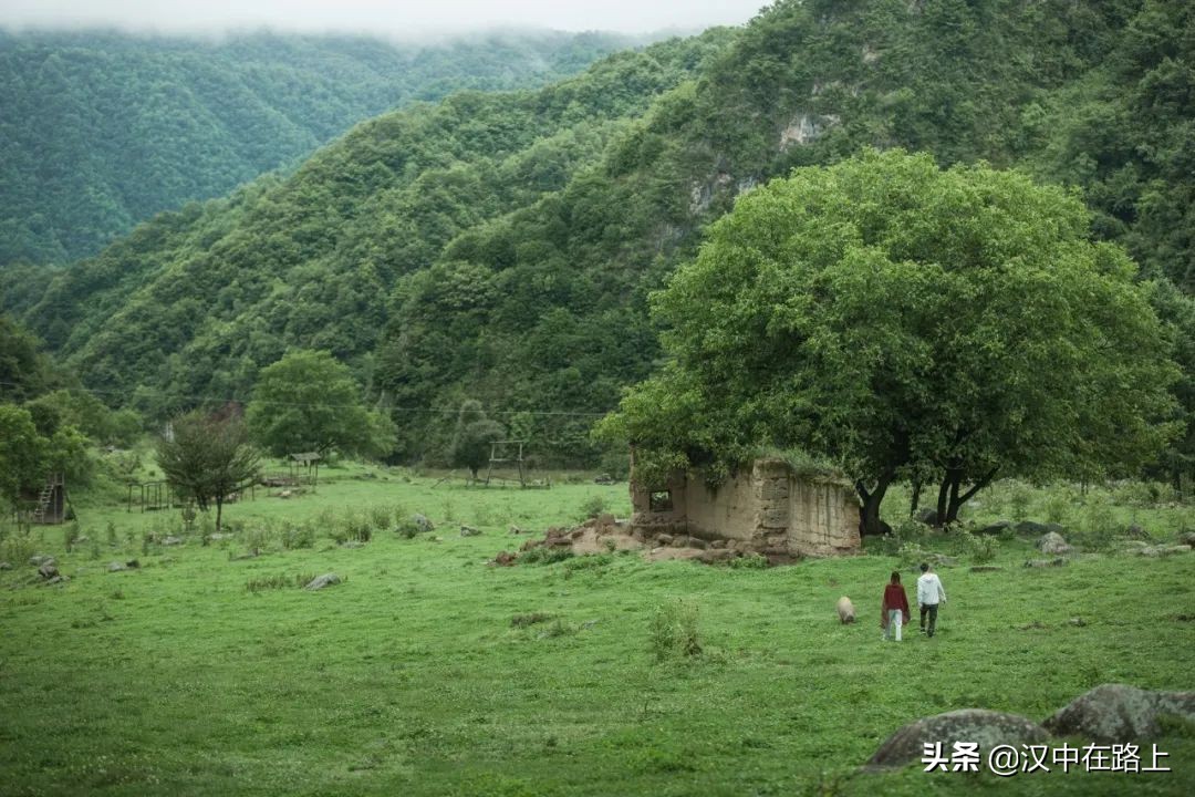 信號滿格！這個五一來漢中獅子溝牧場，大片隨時分享