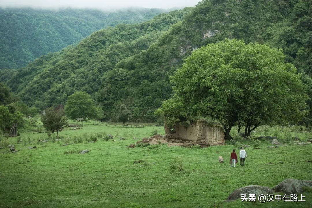 信號滿格！這個(gè)五一來漢中獅子溝牧場，大片隨時(shí)分享