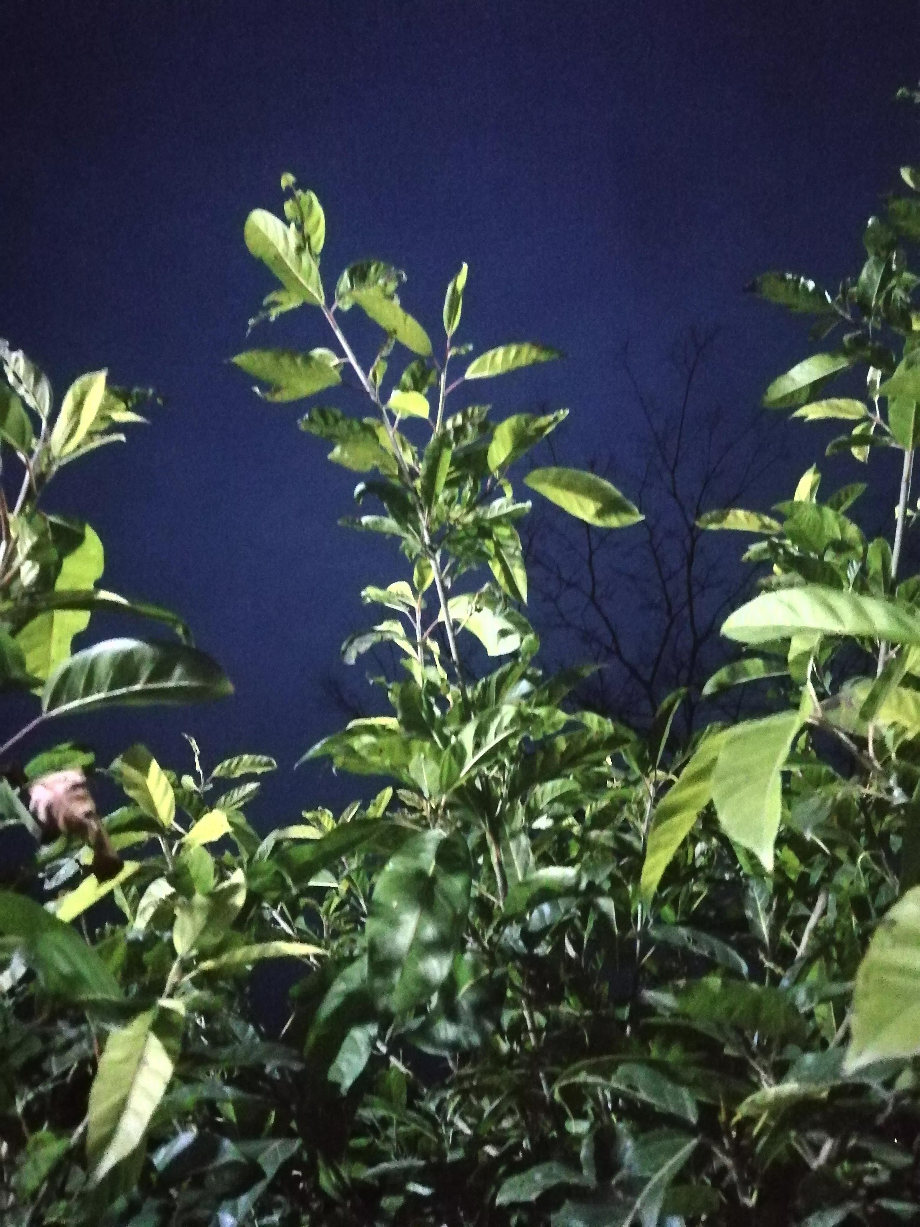 兄妹情深，千里共此心，万里亦相依，岁月无声，亲情如月恒明。
