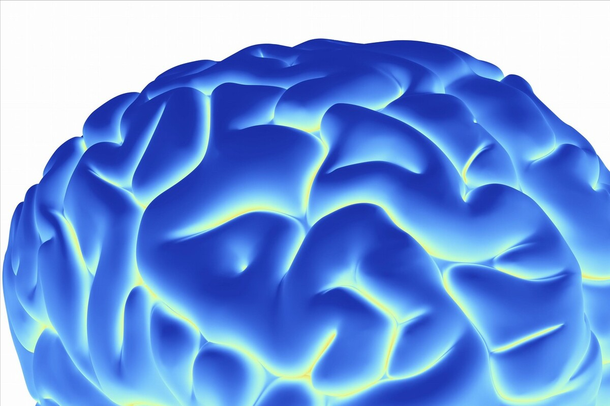 婴儿神经发育不全的表现(识别婴儿大脑发展) - 乐宝宝贝