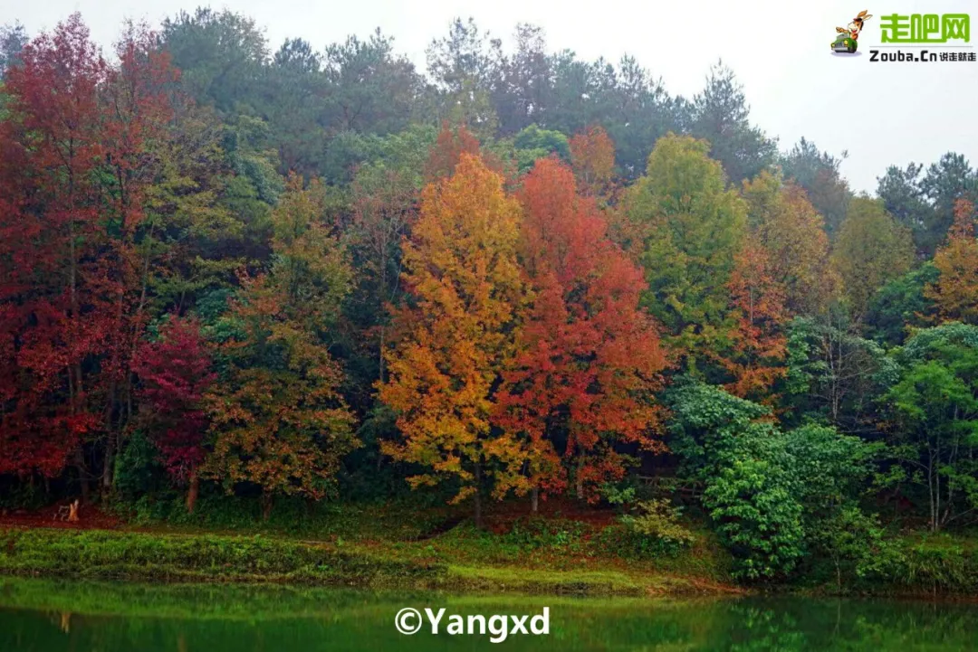 最美的山水风景（广西最美边境小城山水媲美桂林）