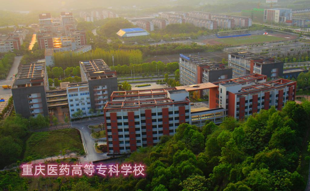 重庆高职招生，专本贯通批开录，重庆电子工程职业学院651分霸榜