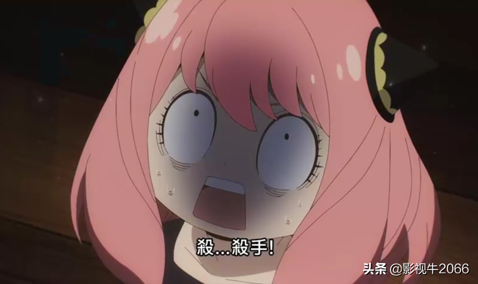 豆瓣9.1，实不相瞒间谍过家家，这番满足了我唯二的愿望之一