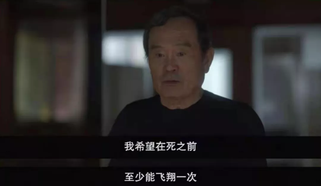 机智的医生生活电视剧免费观看(不是我吹，这一波十佳，都值得三刷)